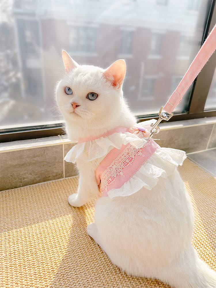 Sweet Vest Traction Rope Pet D - Summer Clothing Release review and price