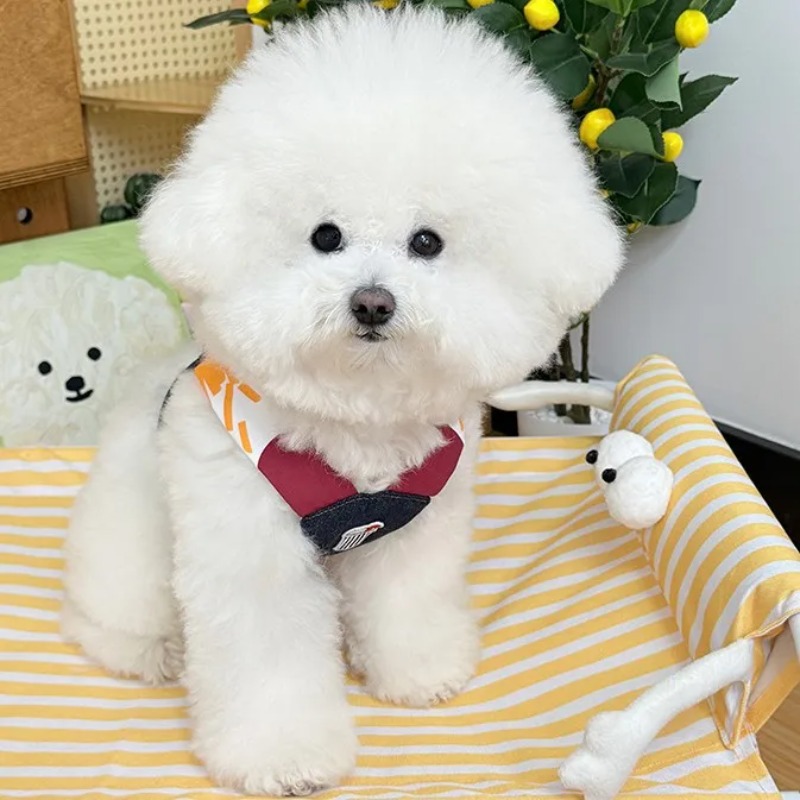 Pet Denim Puppy Clothes Tracti - Summer Clothing Release review and price